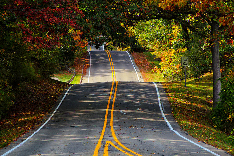 Two Roads Converge Photograph by Rachel Cohen