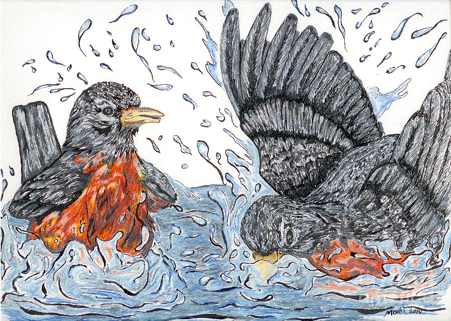 Two Robins Bathing Drawing by Monti Bargsley - Fine Art America