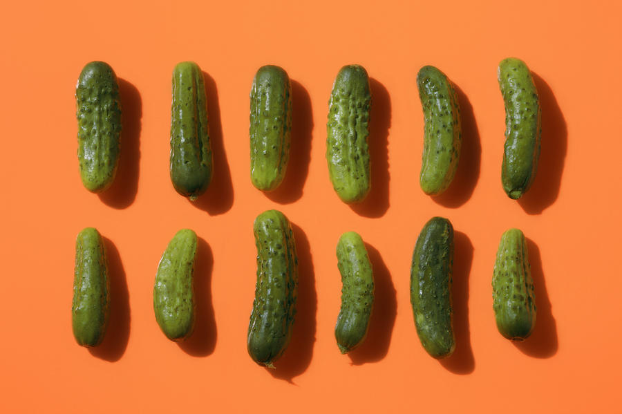 Two rows of pickles Photograph by Paul Taylor