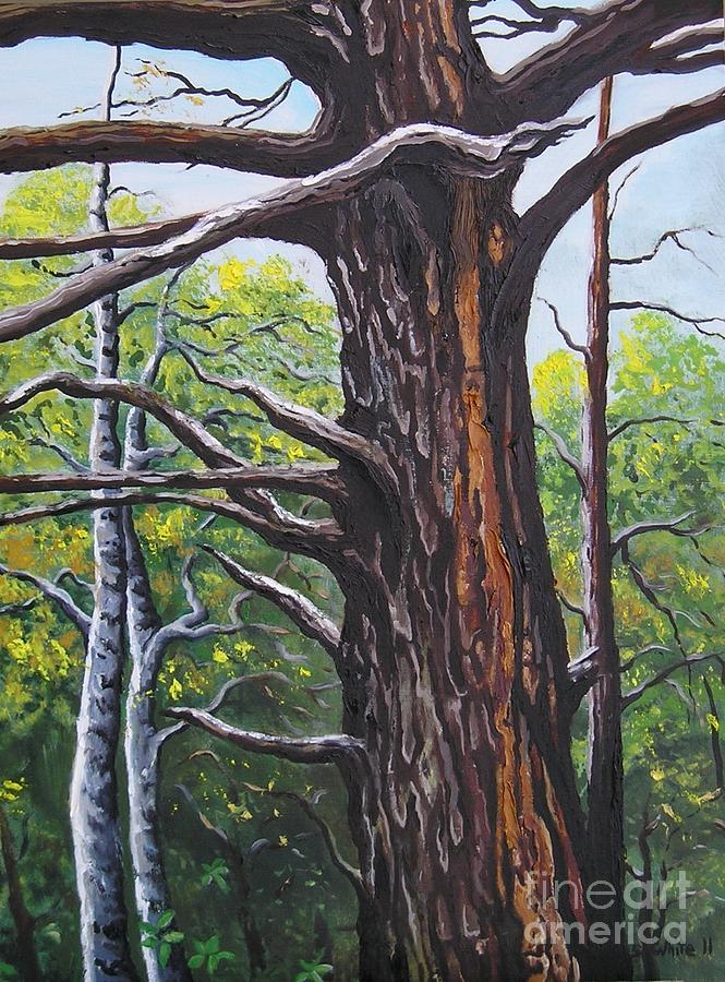 Two Shades of Brown Painting by Scott White - Fine Art America