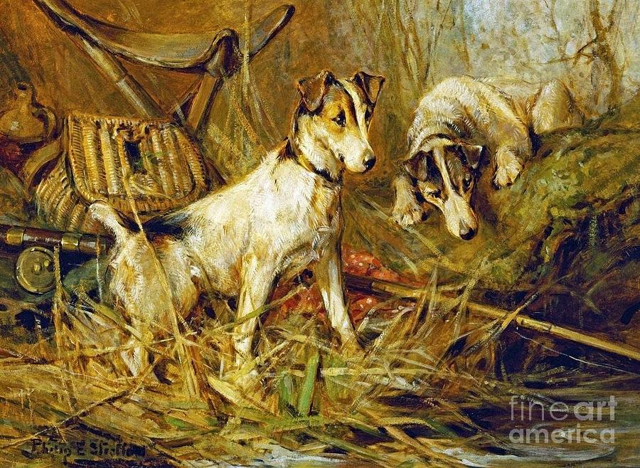 Two Smooth-Haired Fox Terriers Painting by Celestial Images