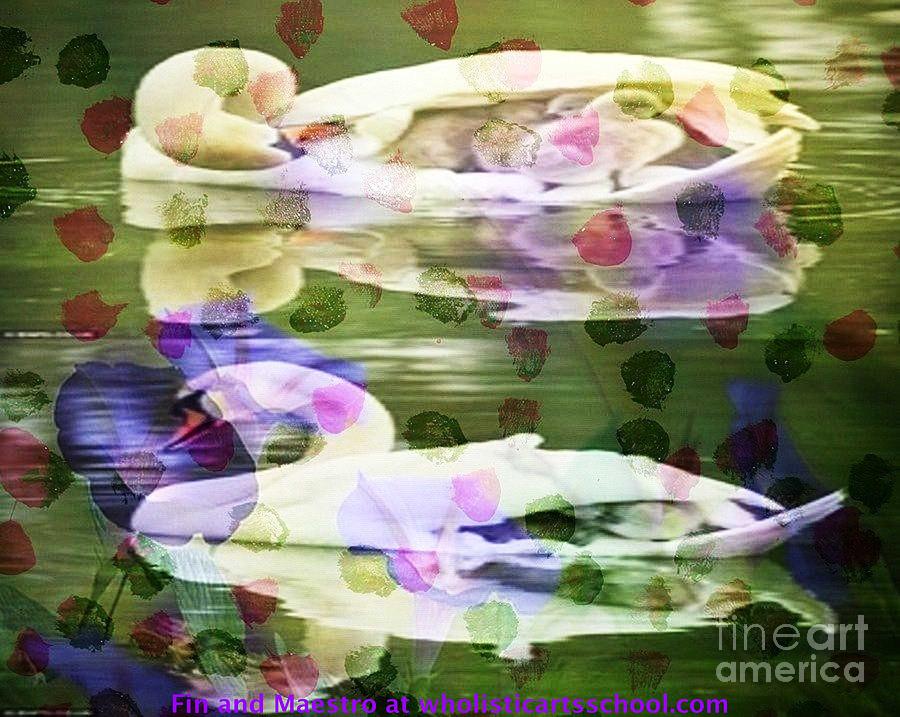 Two Swans Art Painting by PainterArtist FIN