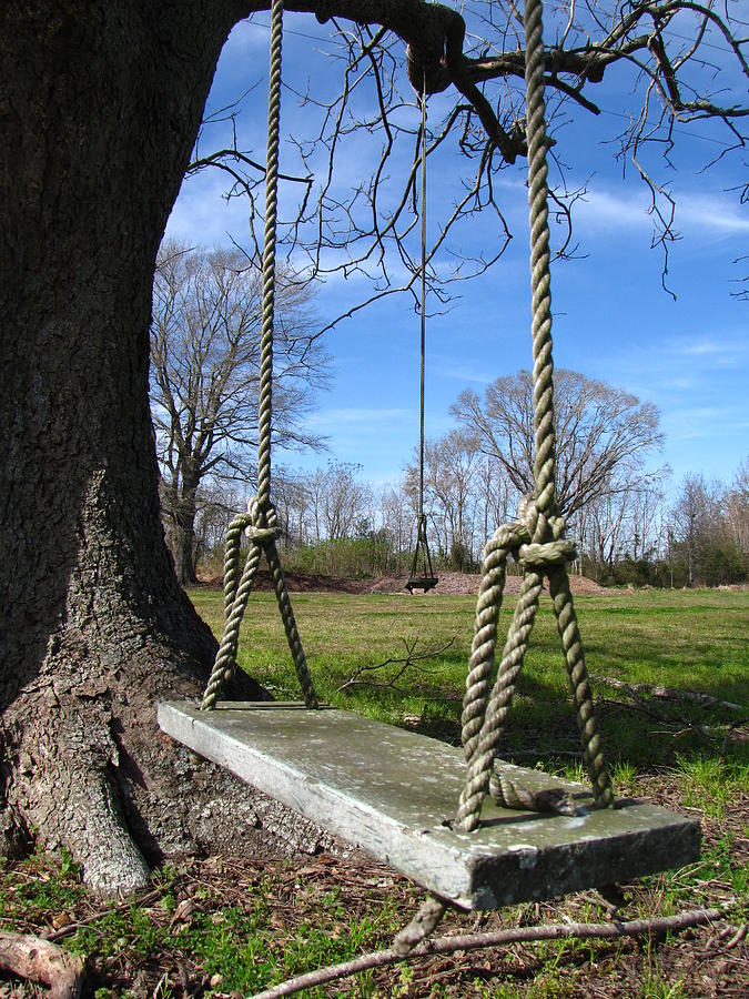 Tree Photograph - Two Swings by Beth Vincent