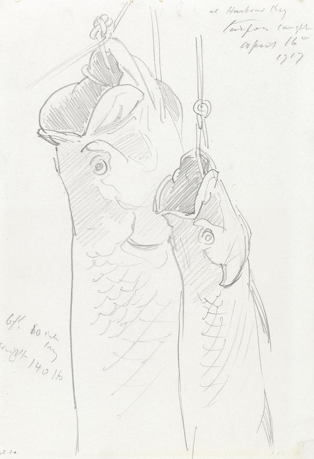 Fish Drawing - Two Tarpon, 1917 by John Singer Sargent