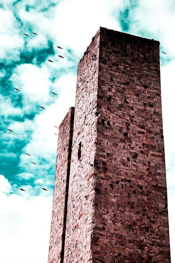 Bird Photograph - Two Towers by Javier Luces