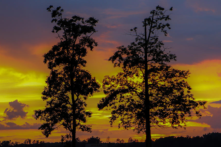 Tree Photograph - Two Trees in the Sunset  by Brian Villanueva
