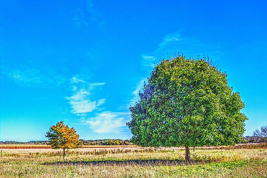 Two Trees on the Prairie Photograph by Roger Passman