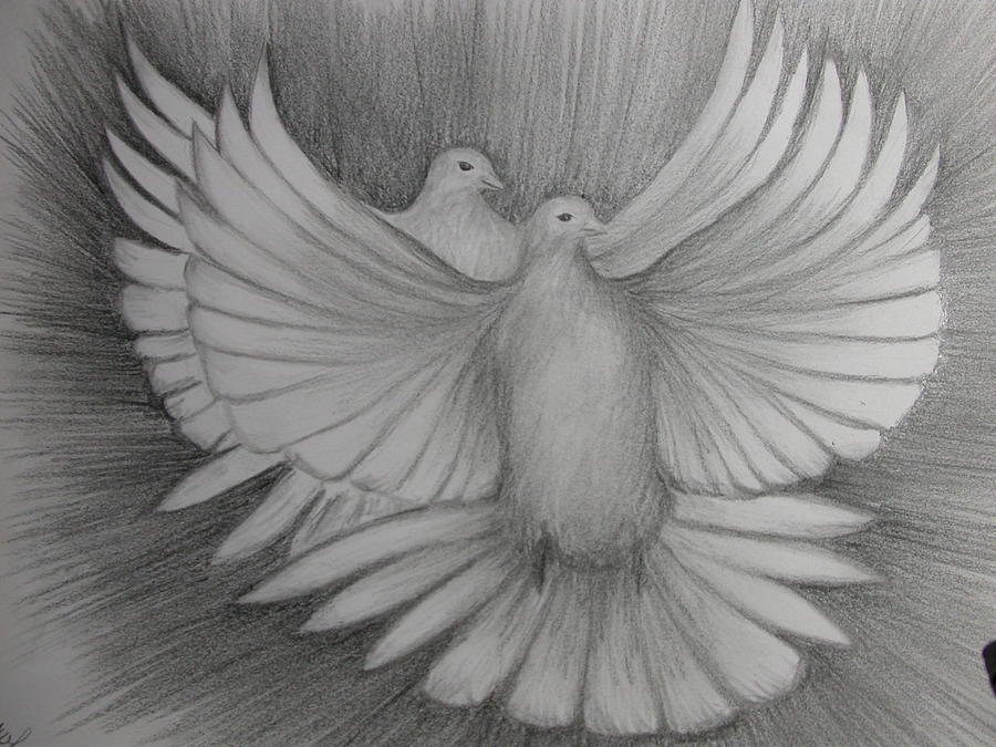 Two Turtle Doves Drawing by Carol Frances Arthur Pixels