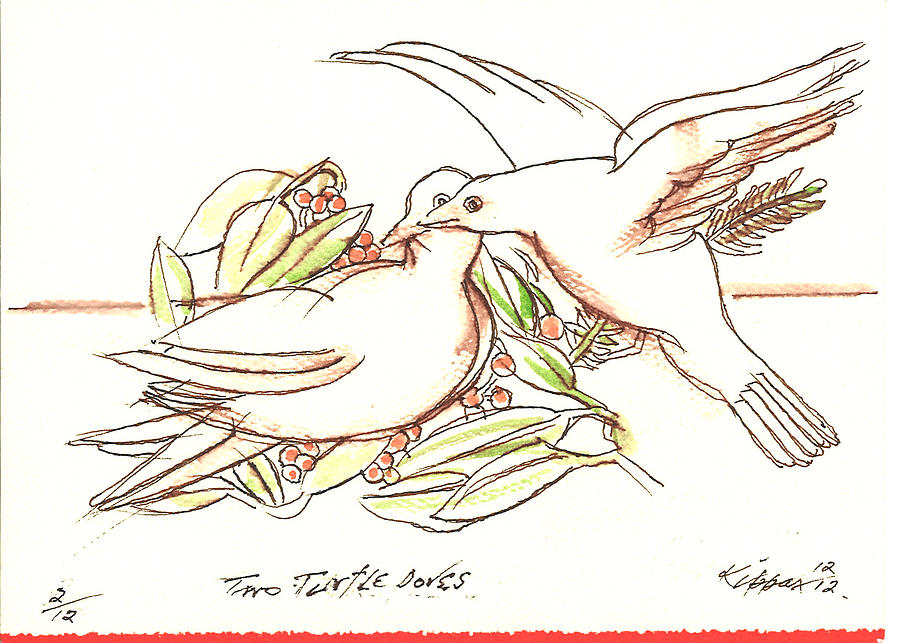 Two Turtle Doves Drawing by Kippax Williams