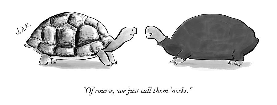 Two Turtles Drawing by Jason Adam Katzenstein