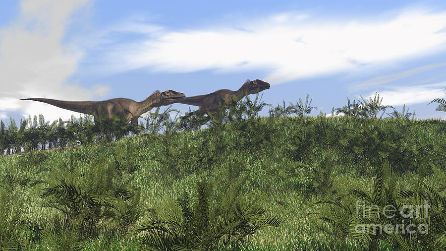 Dinosaur Digital Art - Two Utahraptors Walking Across A Grassy by Kostyantyn Ivanyshen