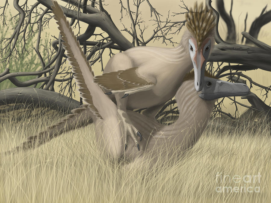 two velociraptors