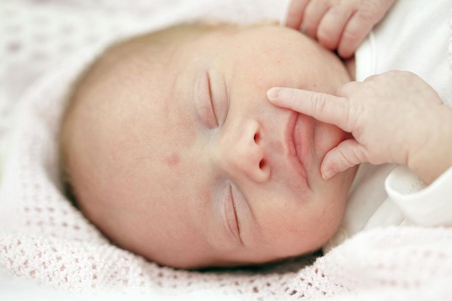 Two Week Old Baby Girl Photograph by Ruth Jenkinson/science Photo ...