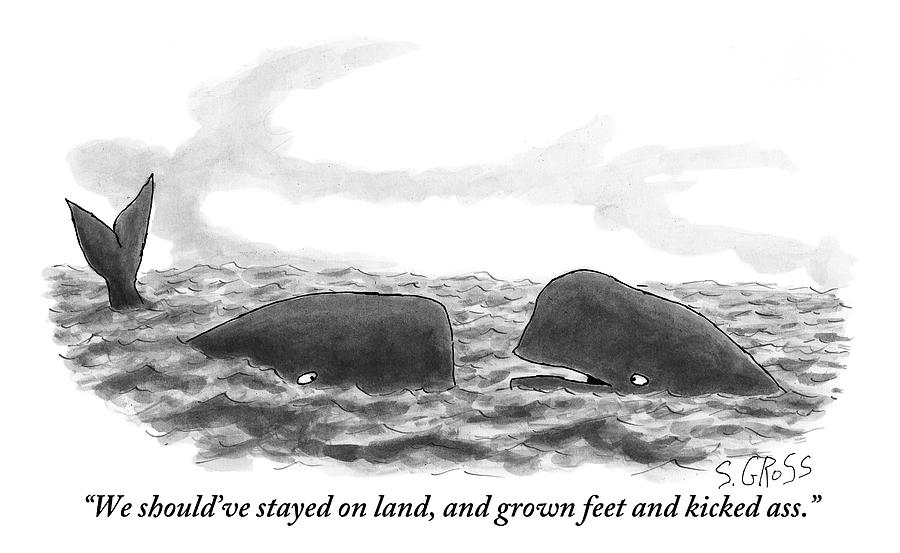 Two Whales Are Seen In Water In Conversation Drawing by Sam Gross Two Whales Are Seen In Water In Conversation Drawing by Sam Gross
