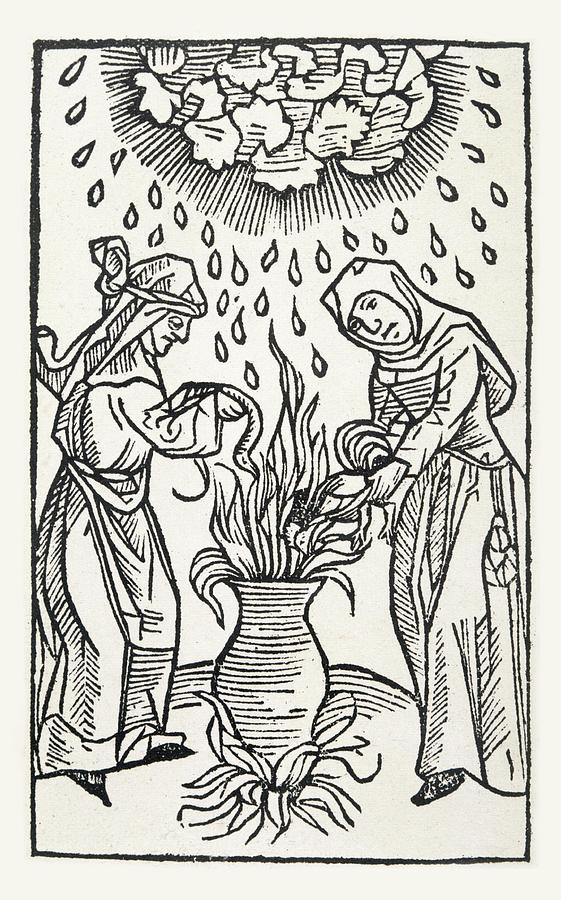 Two Witches Brew A Potion, Adding Drawing by Mary Evans Picture Library