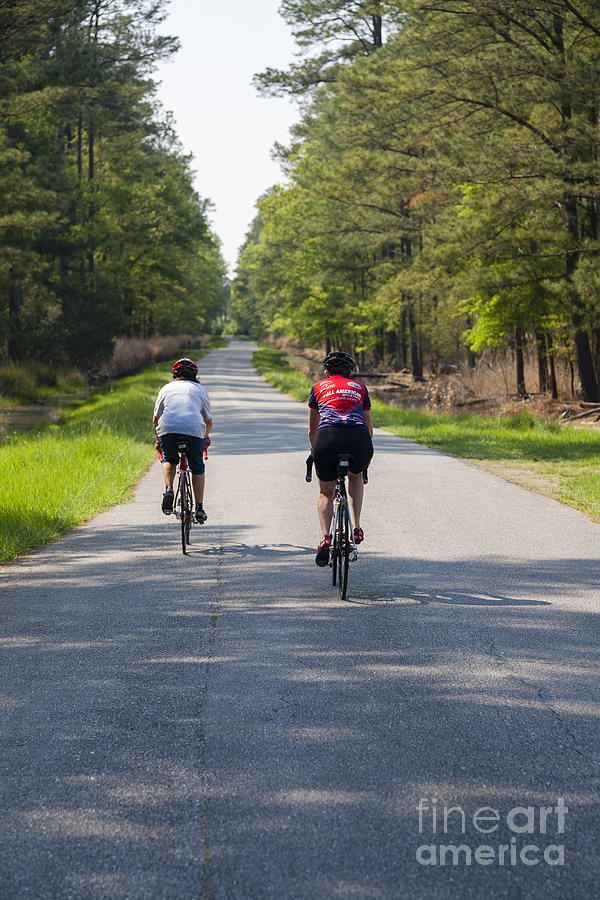Two women cyclists ride in the Blackwater National Wildlife Refuge near Cambridge Maryland Photograph by William Kuta
