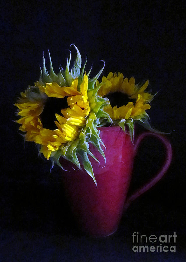 Two Yellow Flowers Photograph by Patricia Januszkiewicz