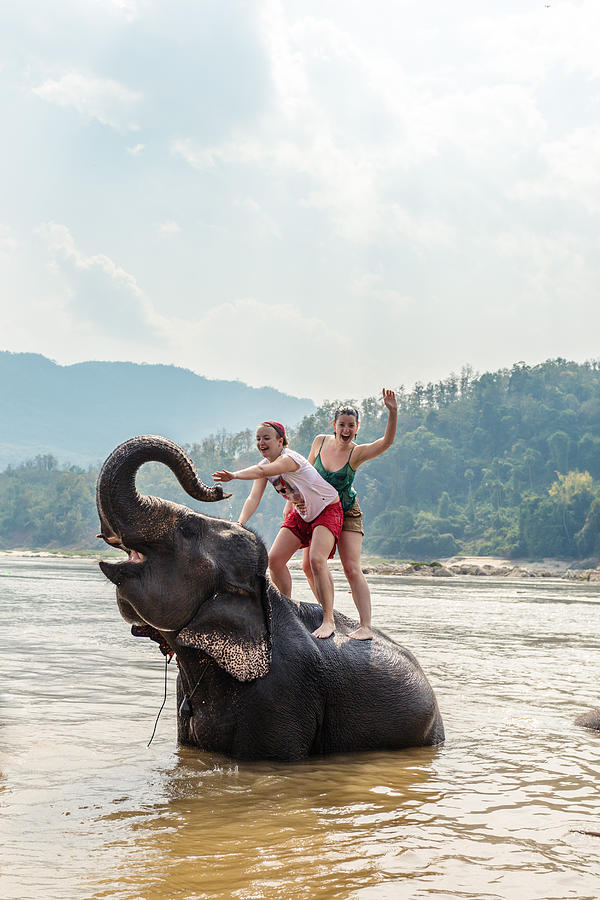 Two young women riding an elephant in the Mekong Photograph by Matteo Colombo