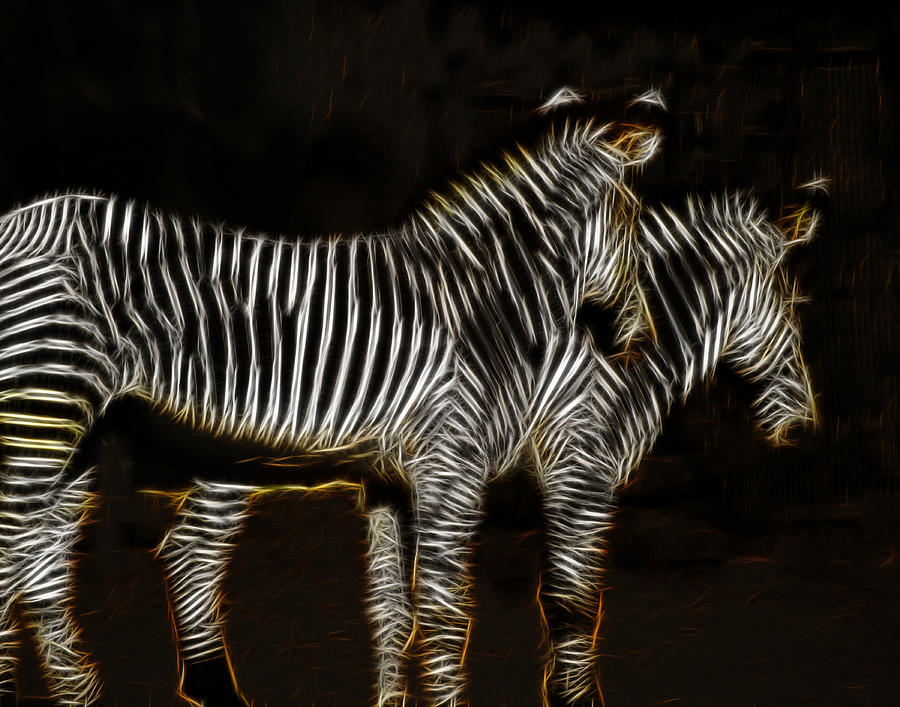 Two Zebra Fractalius 2 Photograph by Maggy Marsh