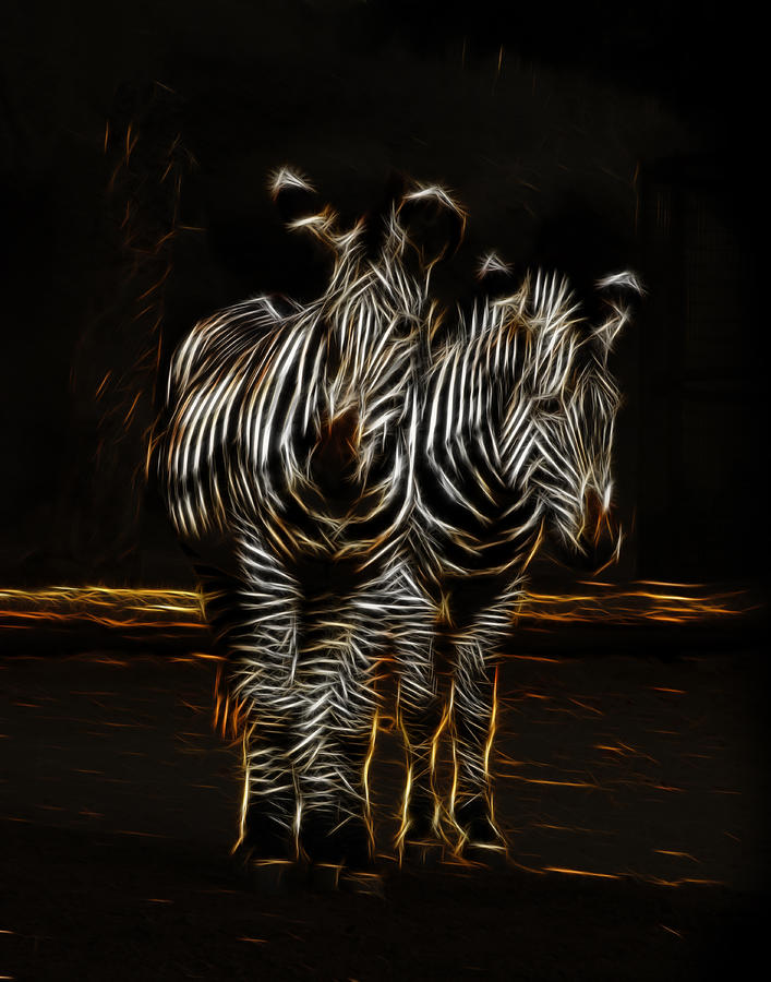 Two Zebra Fractalius Photograph by Maggy Marsh