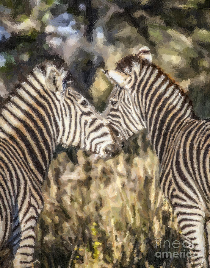 Two Zebras Equus quagga nuzzlling Digital Art by Liz Leyden