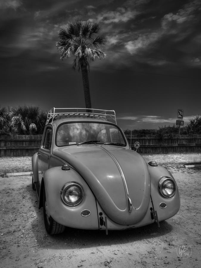 Tybee Island Beach Bug 002 BW Photograph by Lance Vaughn