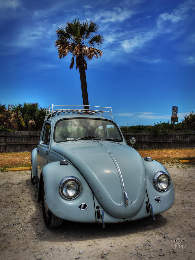 Tybee Island Beach Bug 002 Photograph by Lance Vaughn
