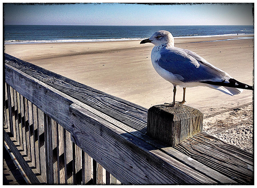 Tybee Layover by Dan Stone Tybee Layover by Dan Stone
