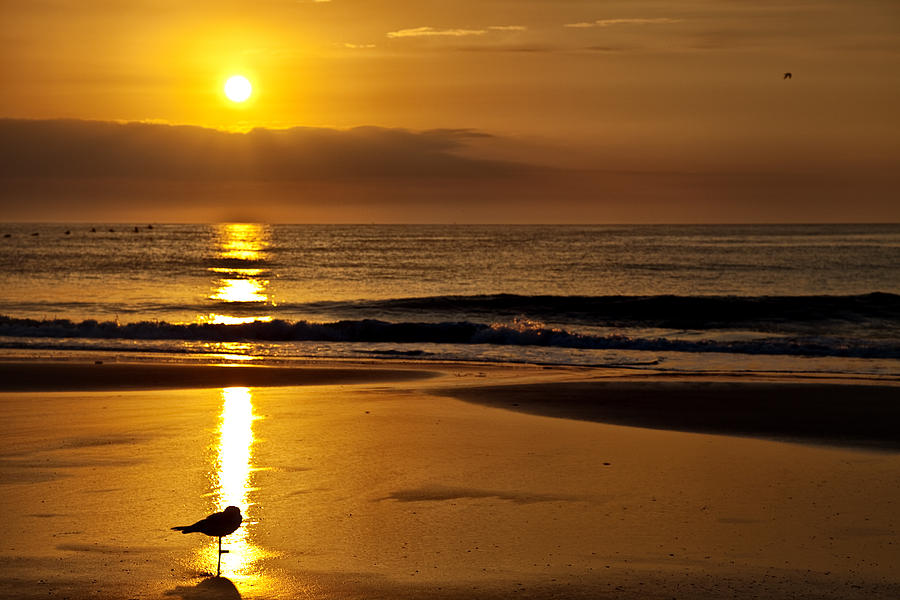 Tybee Sunrise Photograph by Diana Powell