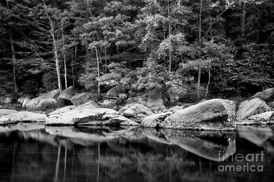 Summer Photograph - Tygart Valley River D30005945 by Kevin Funk