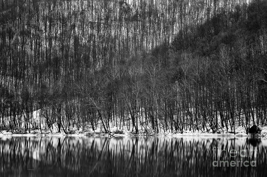 Winter Photograph - Tygart Valley River D30009161bw by Kevin Funk