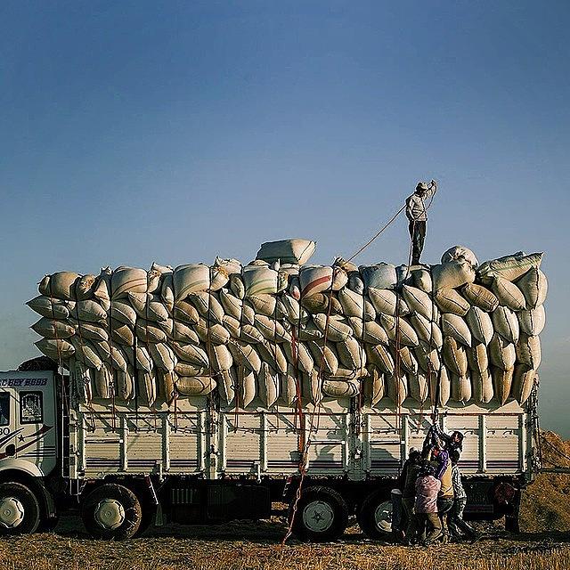 Turkey Photograph - Tying Down A Load Of Wheat Chaff For by David  Hagerman
