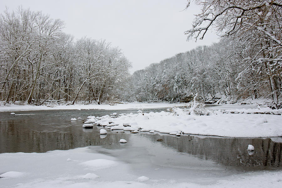 Tyler Park in Winter Photograph by William Jobes