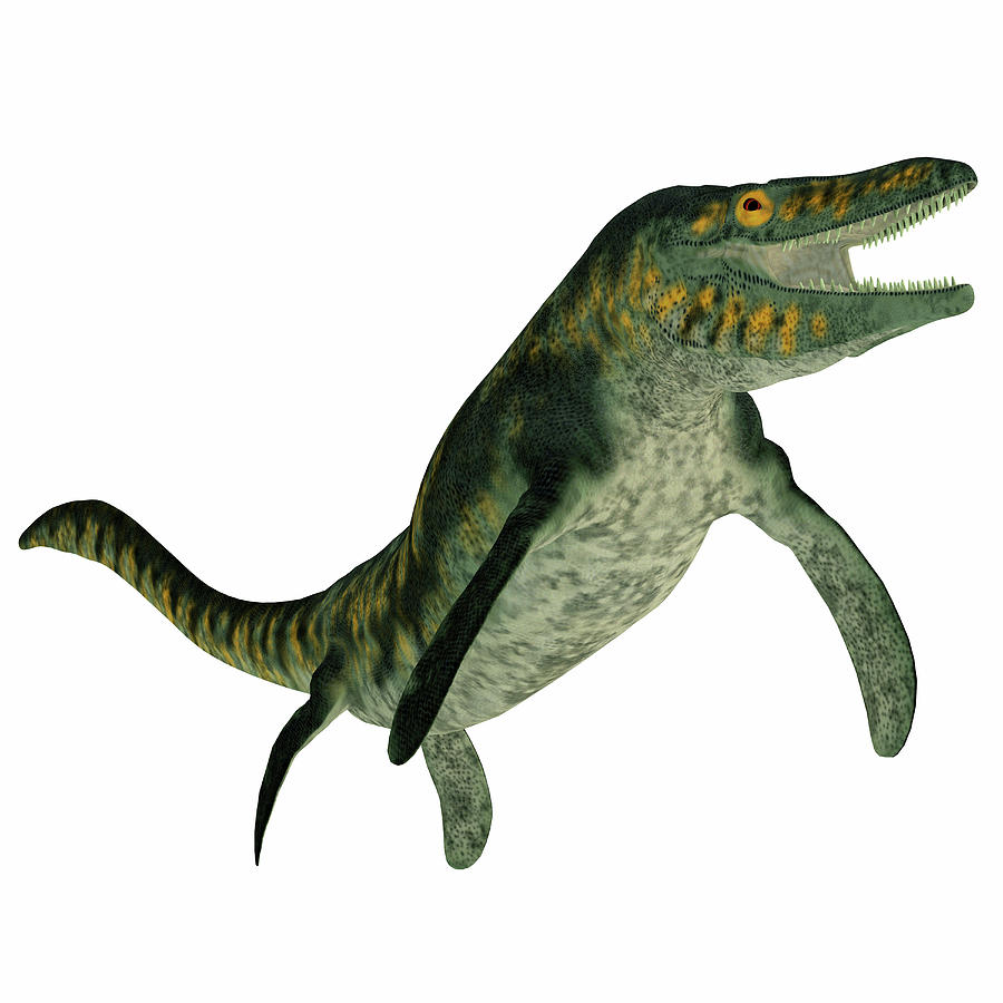 Tylosaurus Marine Reptile On White