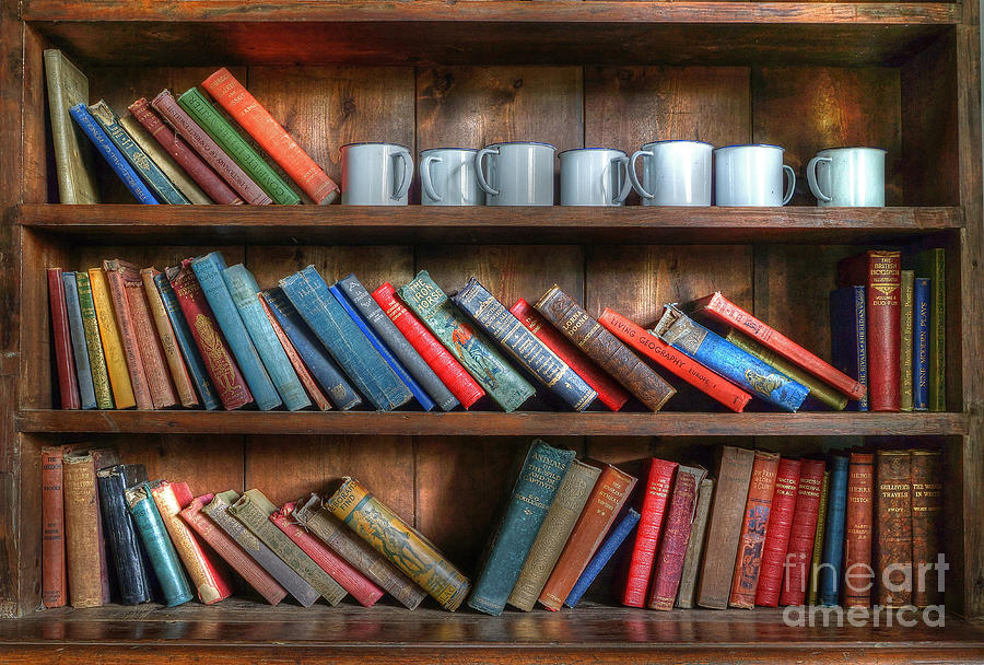 Tyneham School Bookcase Photograph by David Birchall