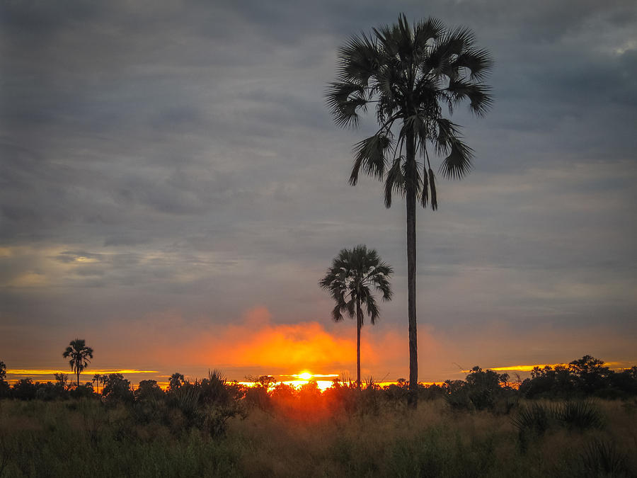 Typical African Sunset Photograph by Gregory Daley  MPSA