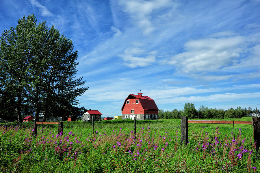 Typical Colony Home In Palmer Area Photograph by Sheila Haddad | Fine ...