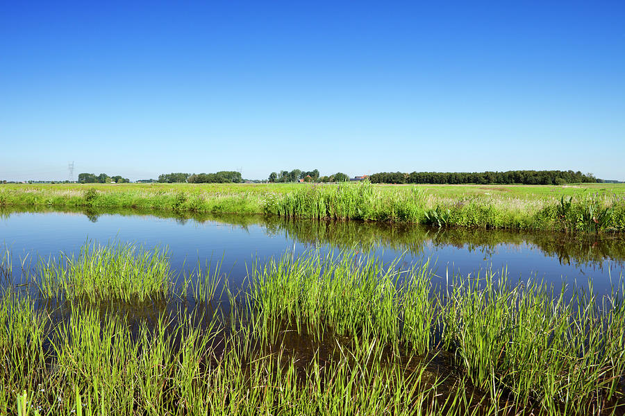 Typical Dutch Polder Landscape On A Photograph by Sara winter