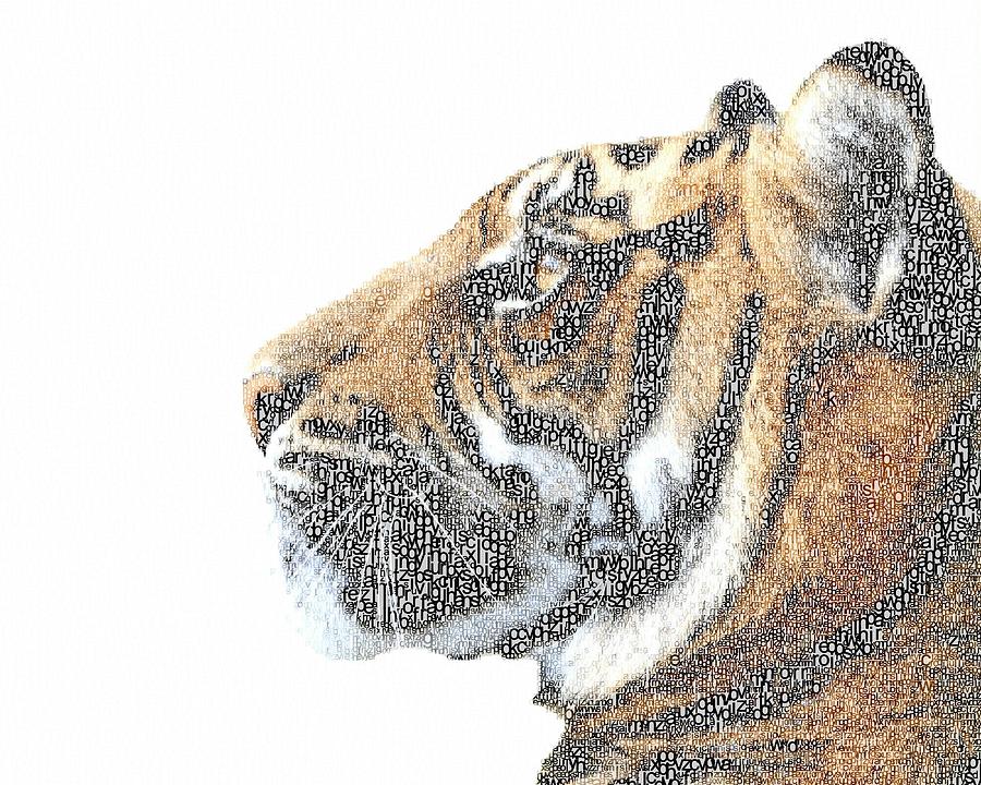 Wildlife Painting - Typography - Tiger by Celestial Images