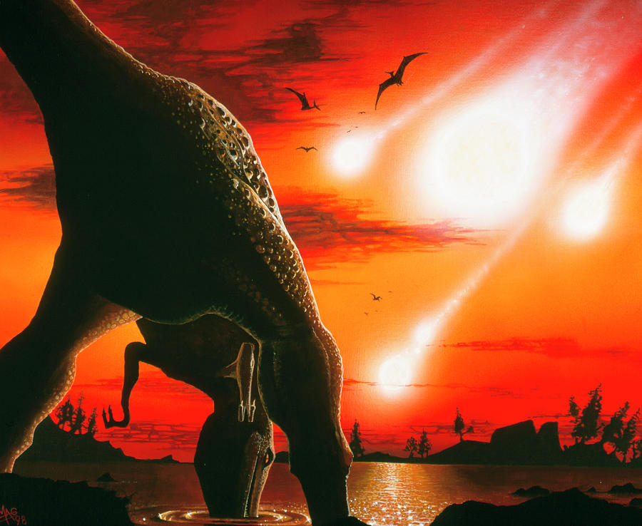 Tyrannosaur Drinks From Lake As Asteroid Photograph by Mark Garlick/science Photo Library