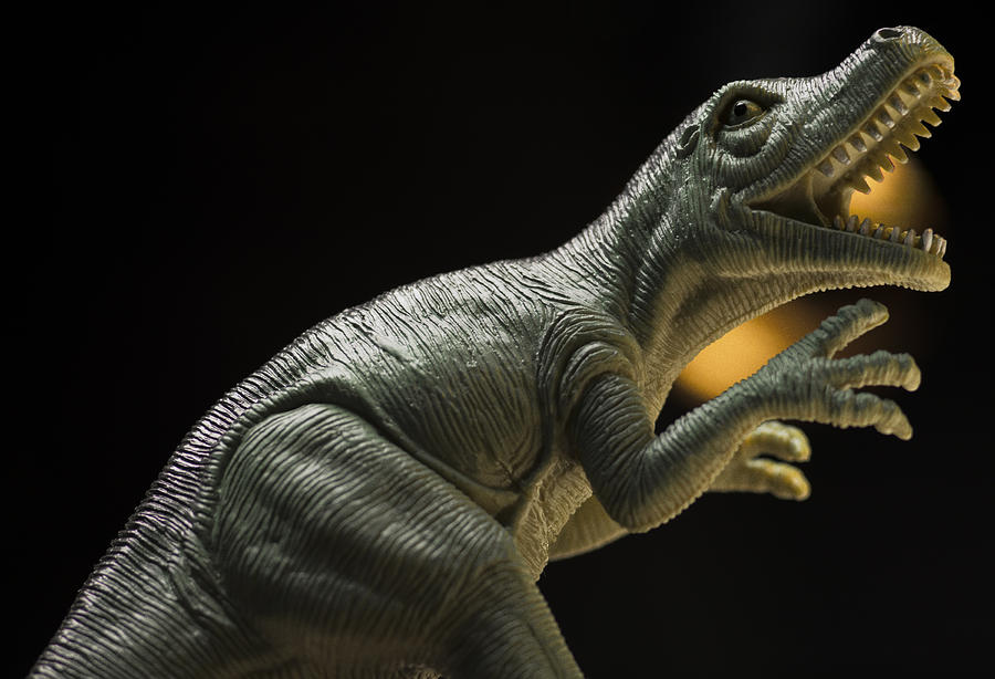 Tyrannosaurus Photograph by Bradley R Youngberg