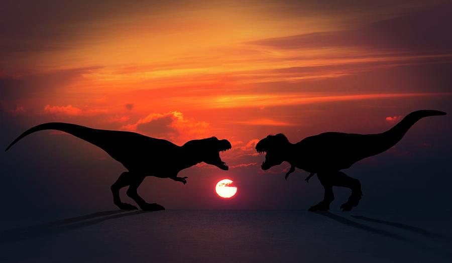 Tyrannosaurus Dinosaurs Fighting by Mark Garlick/science Photo Library