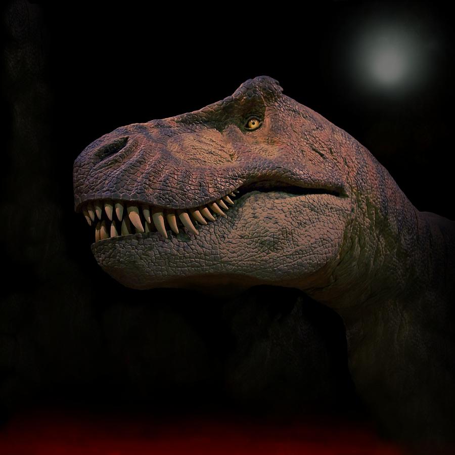 Tyrannosaurus Just Before Extinction  Photograph by Movie Poster Prints