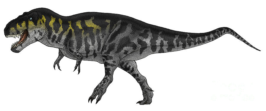 Wildlife Digital Art - Tyrannosaurus Rex, A Large Predator by Vitor Silva