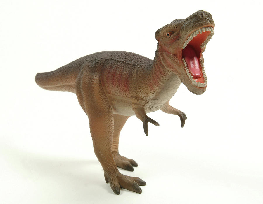 Tyrannosaurus Rex Dinosaur Model Photograph by Natural History Museum, London/science Photo Library