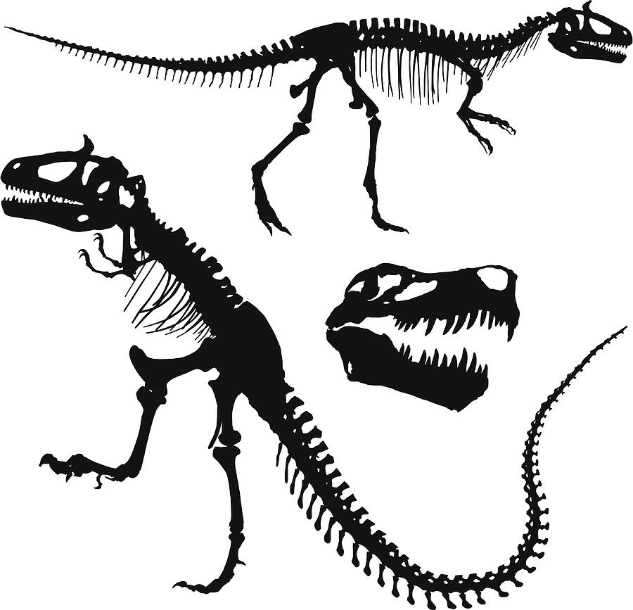 Tyrannosaurus Rex Drawing by Filo