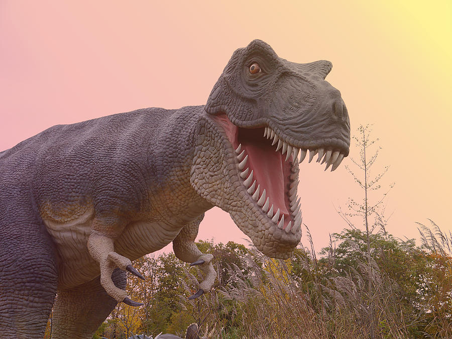 Tyrannosaurus Rex Photograph by Richard Reeve