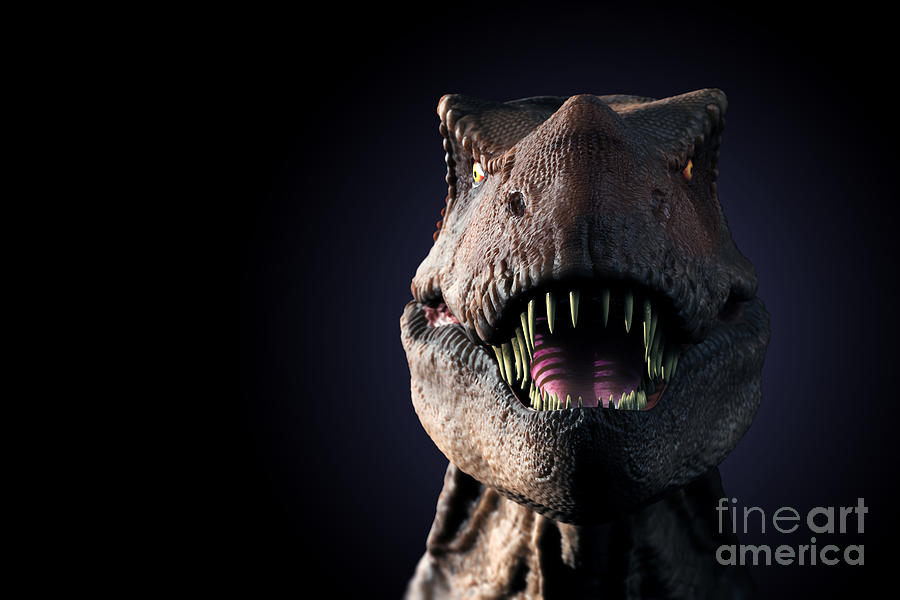 Tyrannosaurus Rex Photograph by Science Picture Co