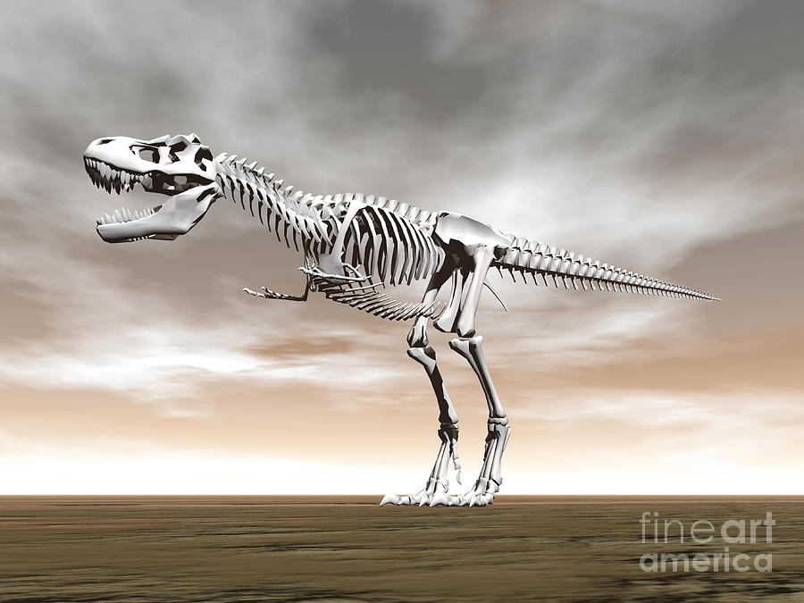 Dinosaur Digital Art - Tyrannosaurus Rex Skeleton by Elena Duvernay