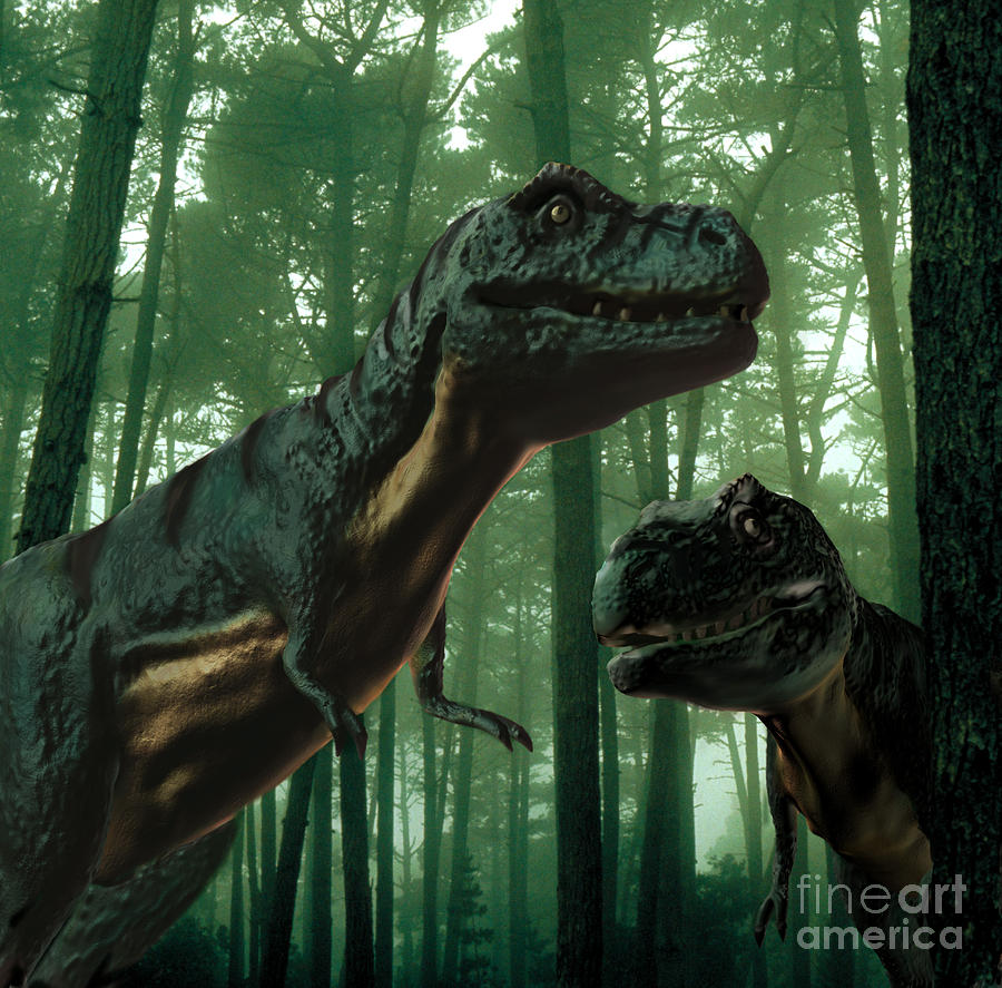 Tyrannosaurus Rex Photograph by Spencer Sutton